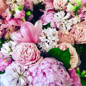 Meet your Posher, Lilian